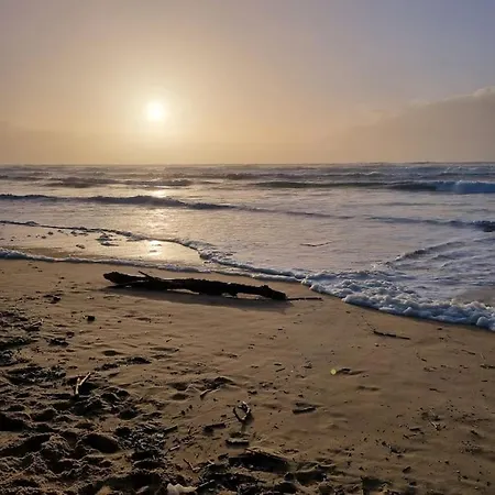 La Farwest Plein Pied Vue Pin Proche * Sainte-Eulalie-en-Born